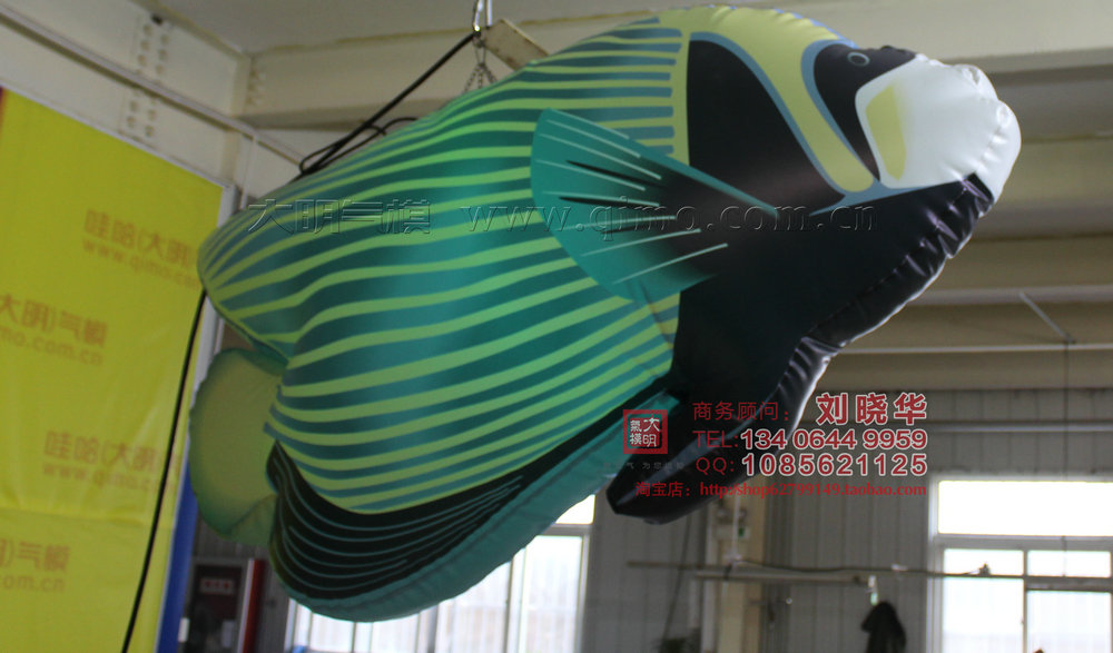 熱帶魚圖片/熱帶魚樣板圖 (4)