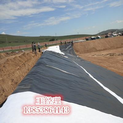 藕池專用防滲膜圖片/藕池專用防滲膜樣板圖 (1)