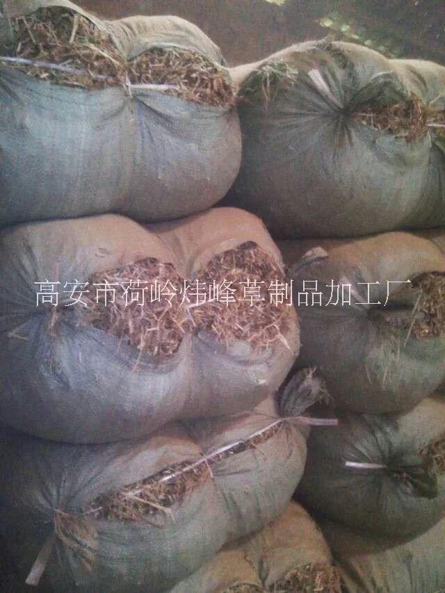 花生秧圖片/花生秧樣板圖 (4)