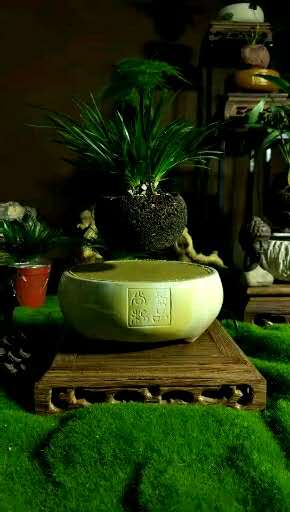 芭蕾圖片/芭蕾樣板圖 (3)