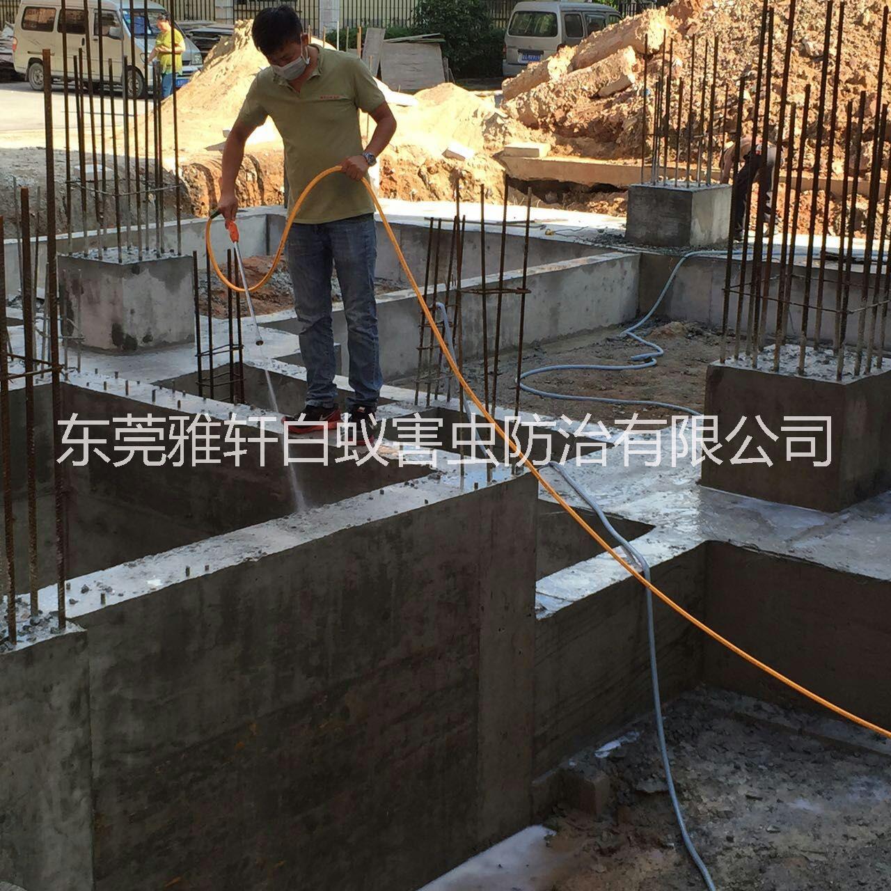 滅蟲圖片/滅蟲樣板圖 (2)