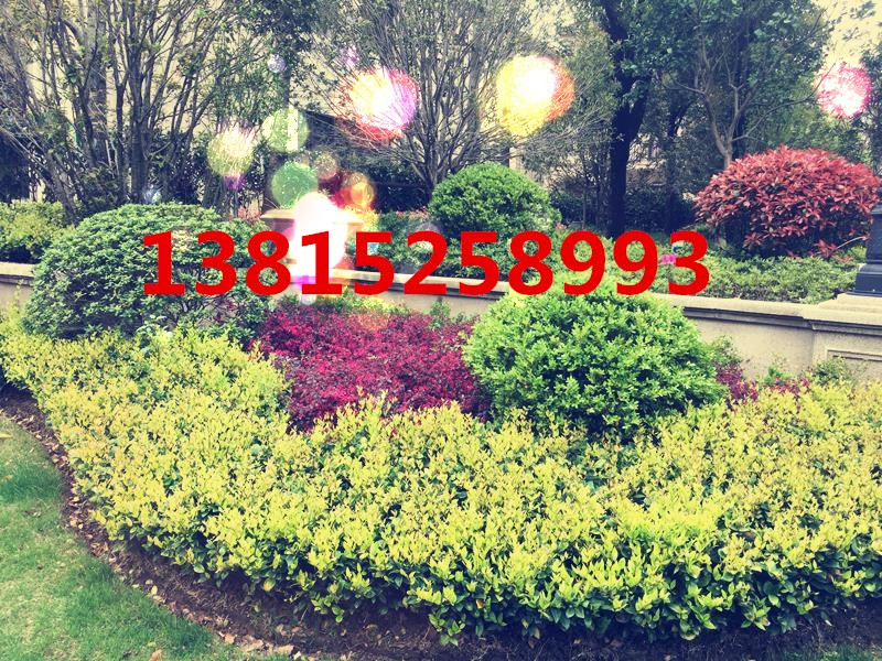 蘇州景觀設(shè)計(jì)，景觀綠化工程公司，景觀綠化工程施工，蘇州園林景觀綠化工程