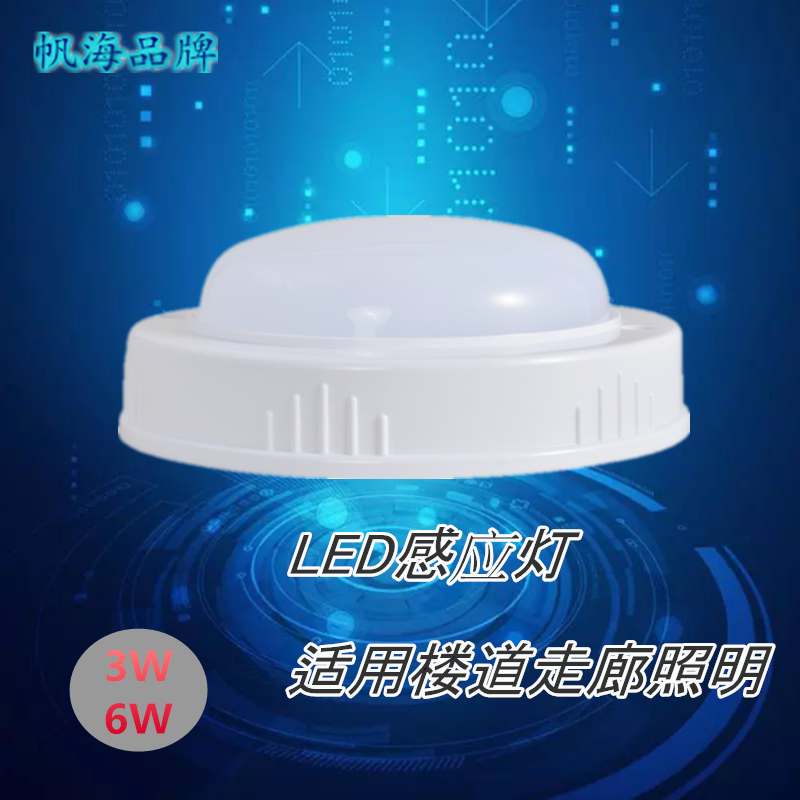 聲控?zé)魣D片/聲控?zé)魳影鍒D (2)