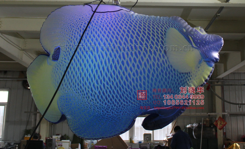 熱帶魚圖片/熱帶魚樣板圖 (2)