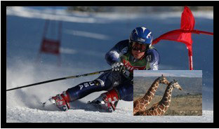 漳州液晶廠家液晶拼接屏廈美視圖片