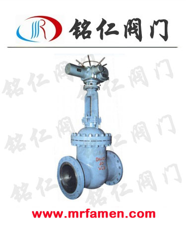 Z941H-100C DN250圖片/Z941H-100C DN250樣板圖 (4)