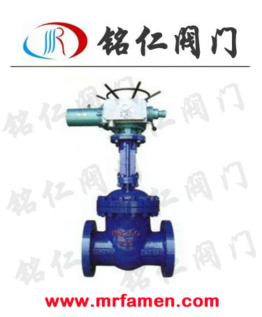 Z941H-100C DN250圖片/Z941H-100C DN250樣板圖 (3)