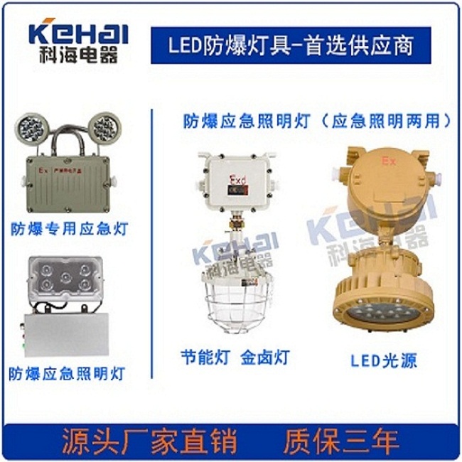 防爆應急燈圖片/防爆應急燈樣板圖 (3)