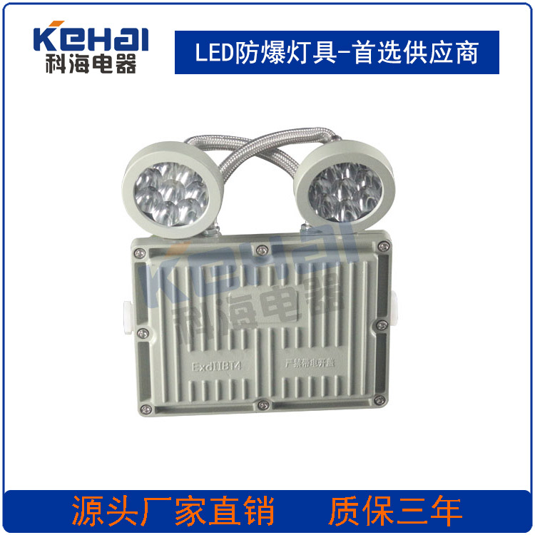 科海防爆應(yīng)急燈/雙頭防爆應(yīng)急燈 90min應(yīng)急照明