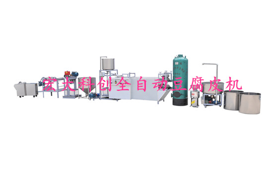 豆皮機生產(chǎn)線視頻圖片