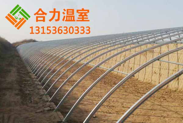 溫室大棚建設圖片/溫室大棚建設樣板圖 (3)