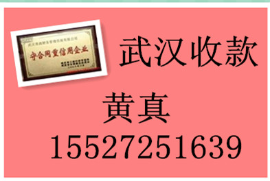 武漢商賬財(cái)務(wù)債務(wù)清欠咨詢15527251639黃真
