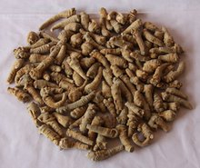 120頭三七批發(fā)  文山三七批發(fā)  云南文山三七批發(fā)  文山新葉三七批發(fā) 文山三七  文山三七功效