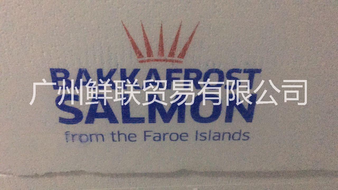 三文魚(yú)圖片/三文魚(yú)樣板圖 (3)