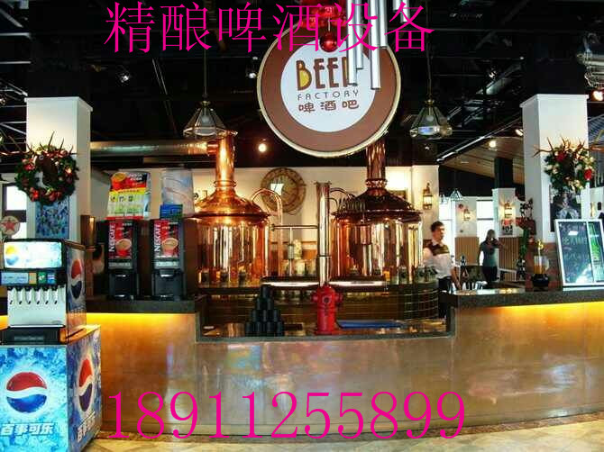 自釀啤酒設(shè)備圖片/自釀啤酒設(shè)備樣板圖 (3)