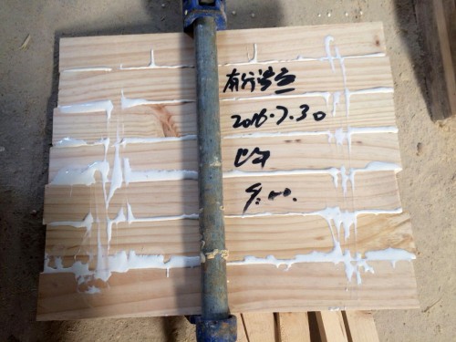 集成材拼板膠圖片/集成材拼板膠樣板圖 (4)