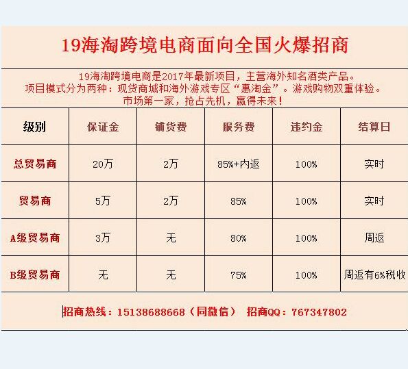 19海淘跨境电商