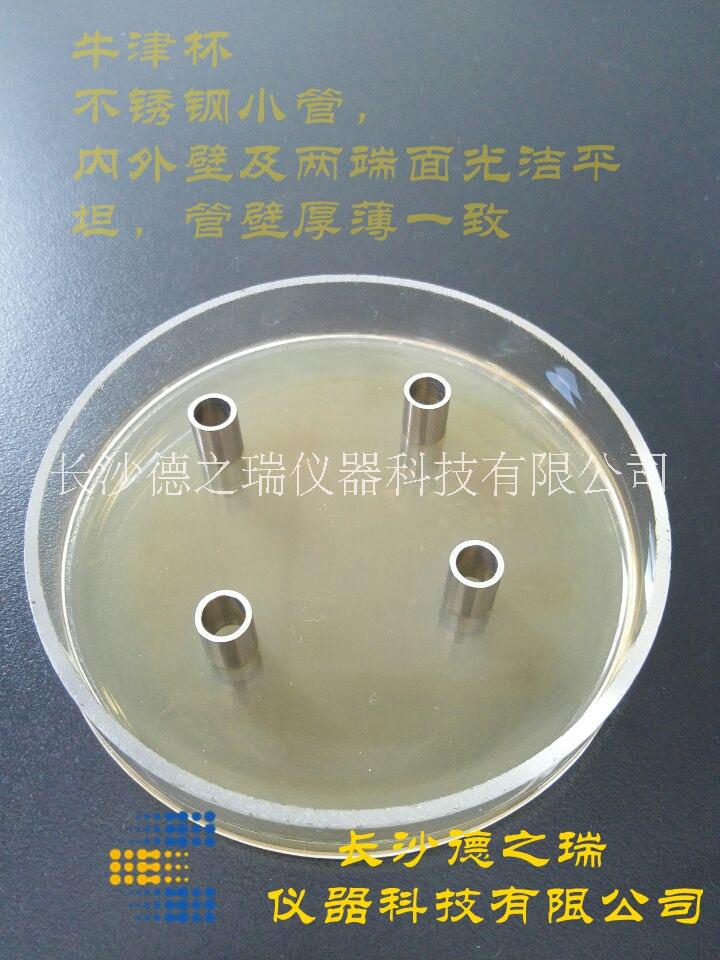 微生物圖片/微生物樣板圖 (3)