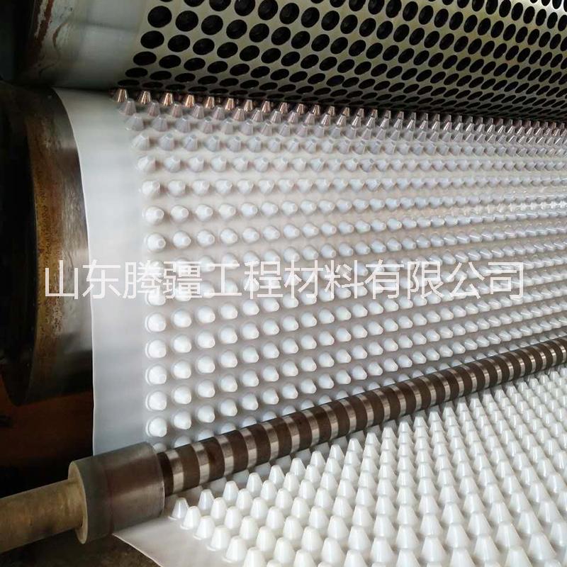 隧道公路排水板 屋頂綠化排水 塑料排水板 園林綠化疏水板土工布