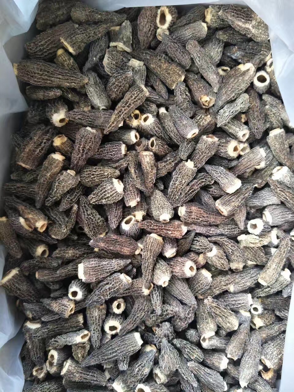 羊肚圖片/羊肚樣板圖 (2)