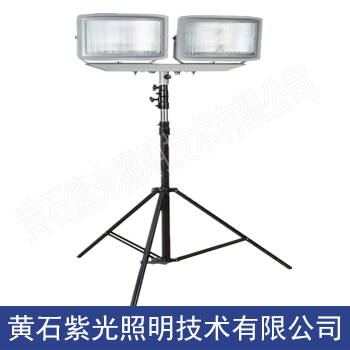 M2501高效升降式照明灯具,紫光照明M2501照明灯厂销