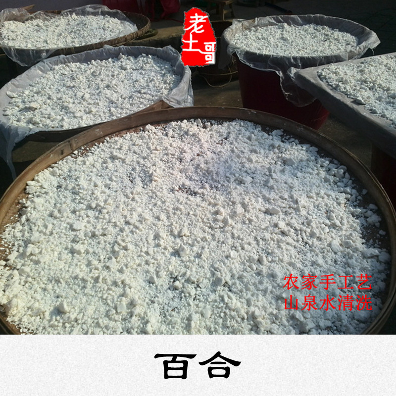 百合圖片/百合樣板圖 (3)