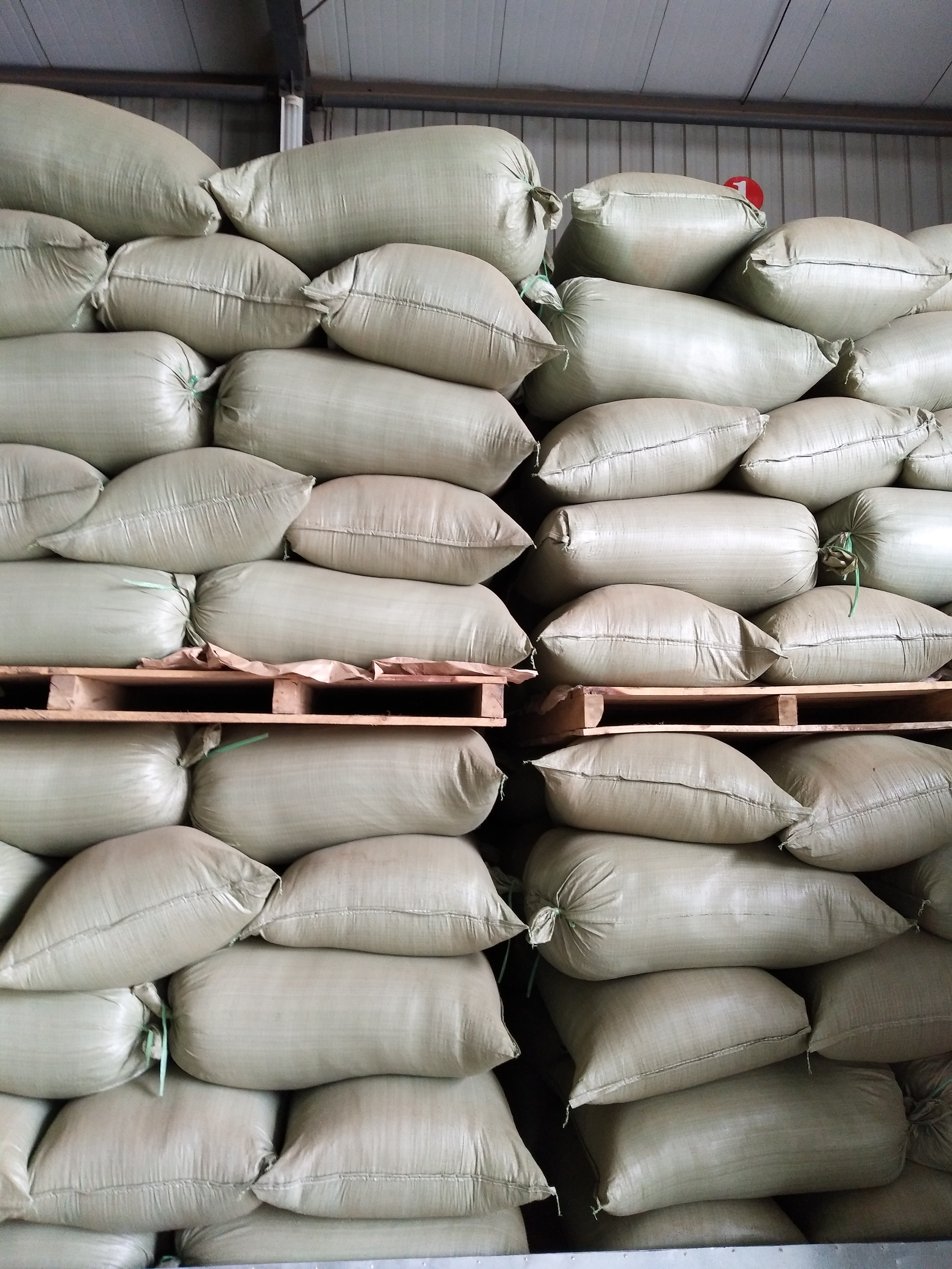 綠茶末圖片/綠茶末樣板圖 (4)