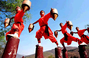 女生在學(xué)習(xí)武術(shù)有什么好處圖片