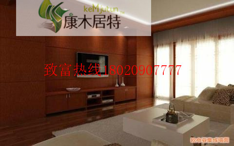 竹木纖維集成墻壁全國招商加盟中圖片