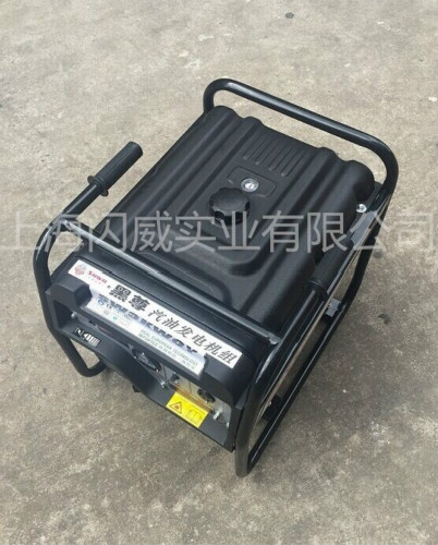 汽油發(fā)電機(jī)圖片/汽油發(fā)電機(jī)樣板圖 (2)