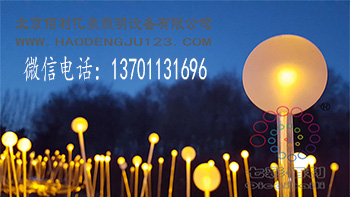 天津光纖藝術(shù)燈圖片/天津光纖藝術(shù)燈樣板圖 (3)