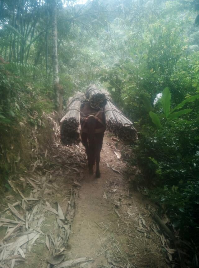 運輸圖片/運輸樣板圖 (3)