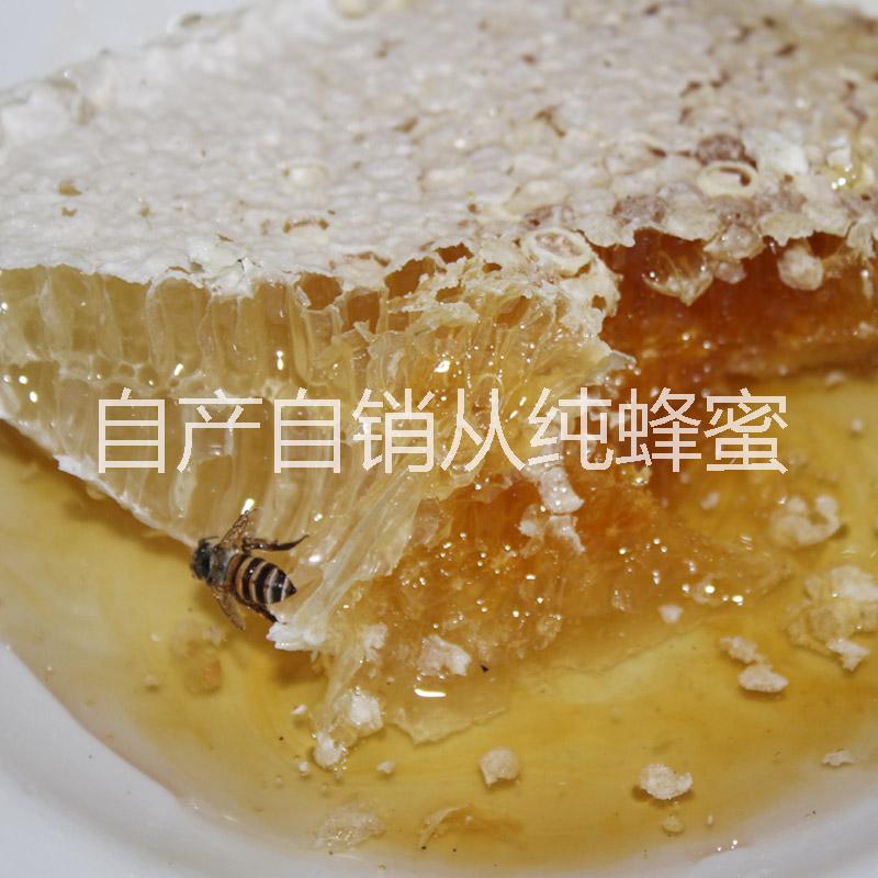 純蜂蜜圖片/純蜂蜜樣板圖 (2)
