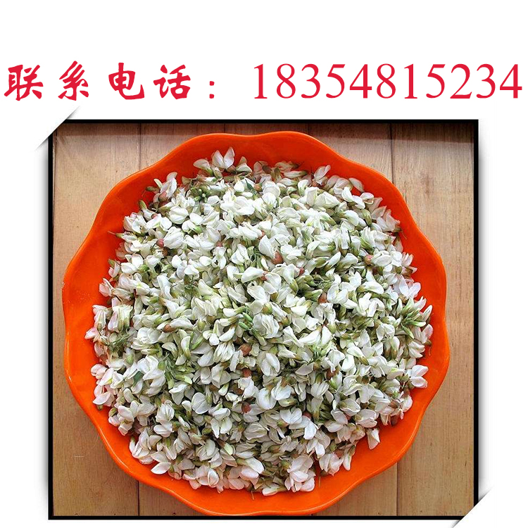 槐花圖片/槐花樣板圖 (2)