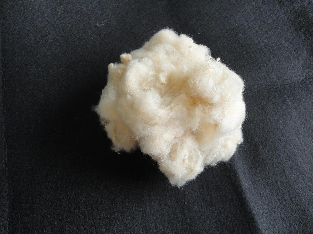 錦/滌復(fù)合纖維 滌綸短纖圖片/錦/滌復(fù)合纖維 滌綸短纖樣板圖 (2)