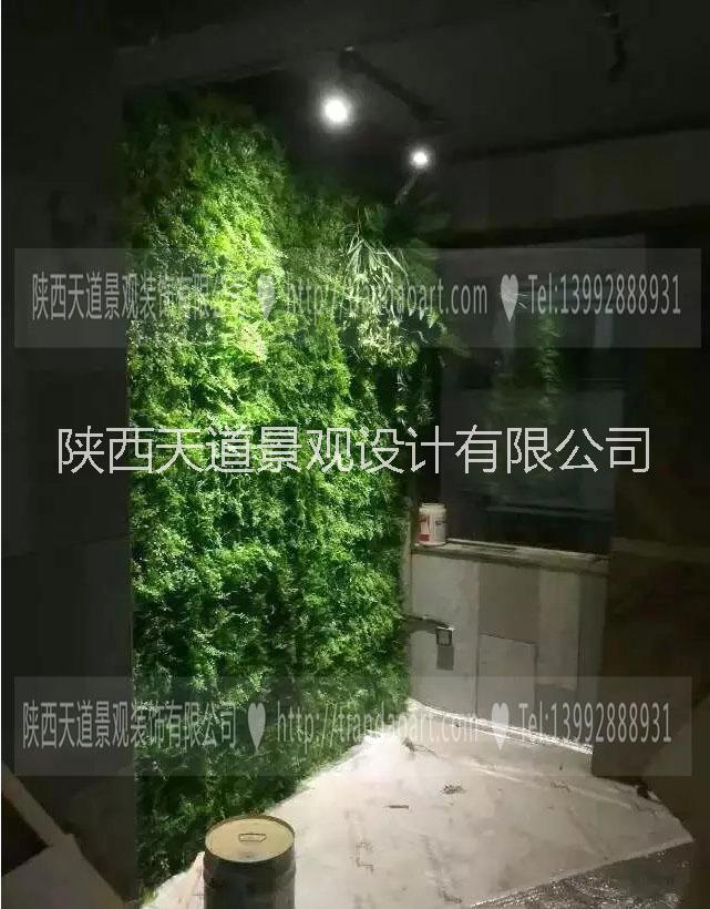仿真草坪圖片/仿真草坪樣板圖 (2)