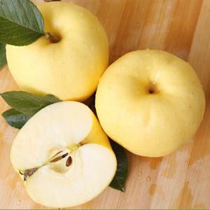 鑫農(nóng)果天水黃元帥面黃香蕉蘋(píng)果批發(fā)