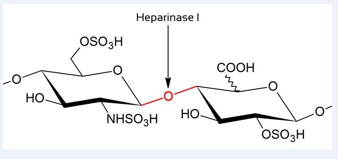 供应重组肝素酶I（heparinase I）图片