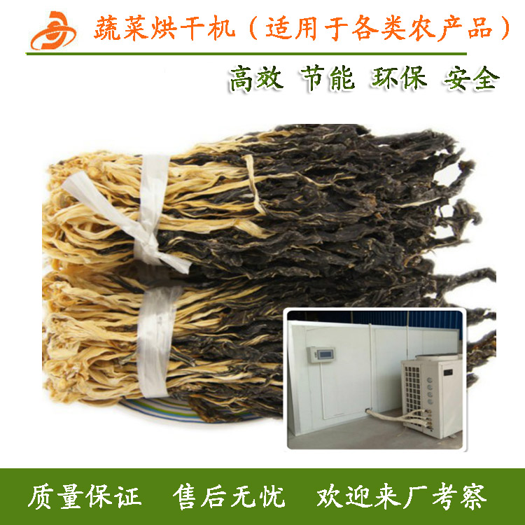 山東濰坊蔬菜烘干機(jī)  蔬菜烘干機(jī)多少錢一臺(tái) 大型蔬菜烘干機(jī)設(shè)備