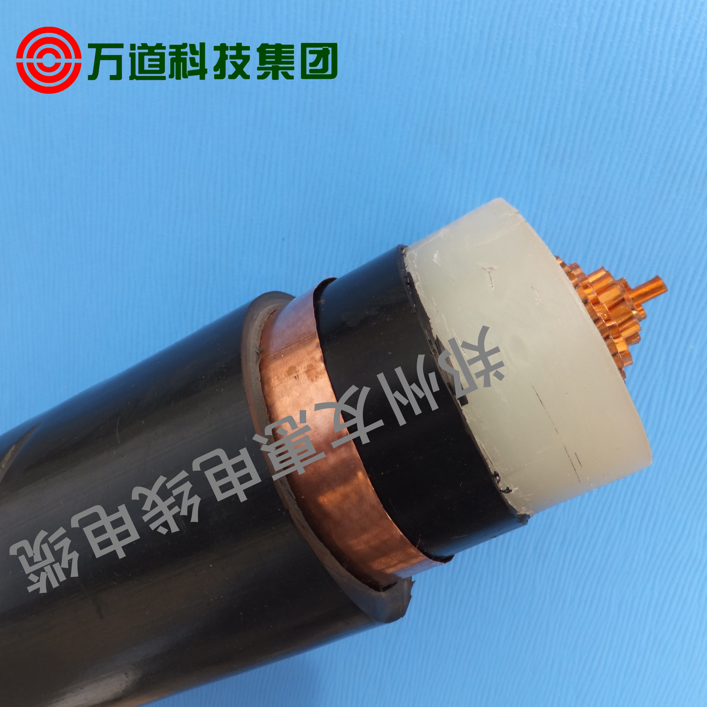 同軸電纜圖片/同軸電纜樣板圖 (1)
