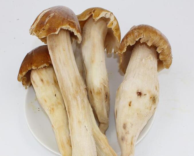 鮮貨圖片/鮮貨樣板圖 (3)