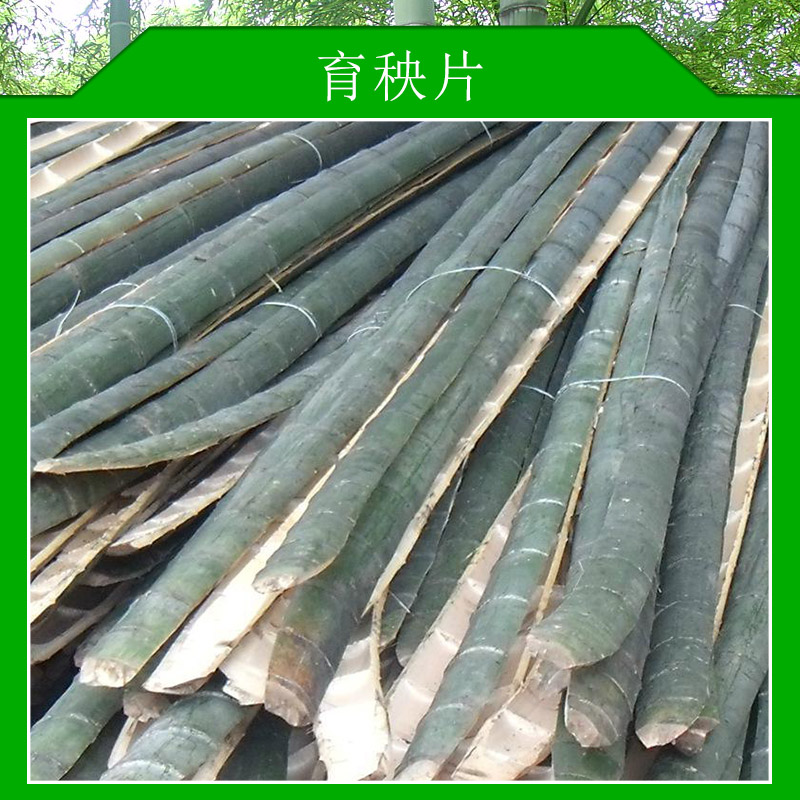 育秧片圖片/育秧片樣板圖 (1)