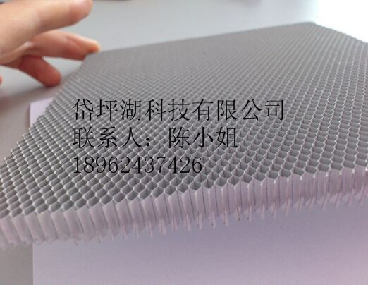 蜂窩狀光觸媒網(wǎng) 光觸媒過(guò)濾鋁基網(wǎng) UV光解納米二氧化鈦光催化板網(wǎng)