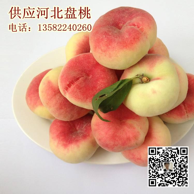 河北盤桃價(jià)格圖片/河北盤桃價(jià)格樣板圖 (2)