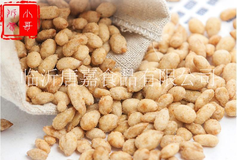 瓜子仁圖片/瓜子仁樣板圖 (1)
