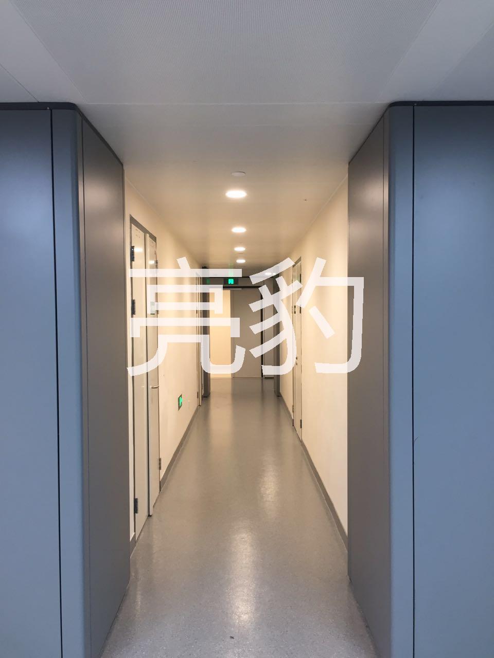 廣州亮豹抑菌復(fù)合隔離墻面漆