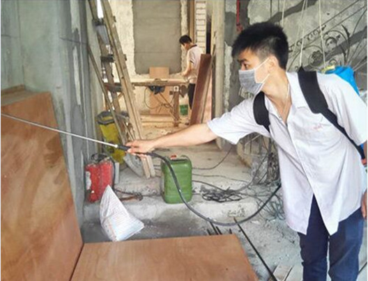 東莞白蟻防治 東莞白蟻防治公司 東莞白蟻防治哪家好 東莞白蟻防治報價