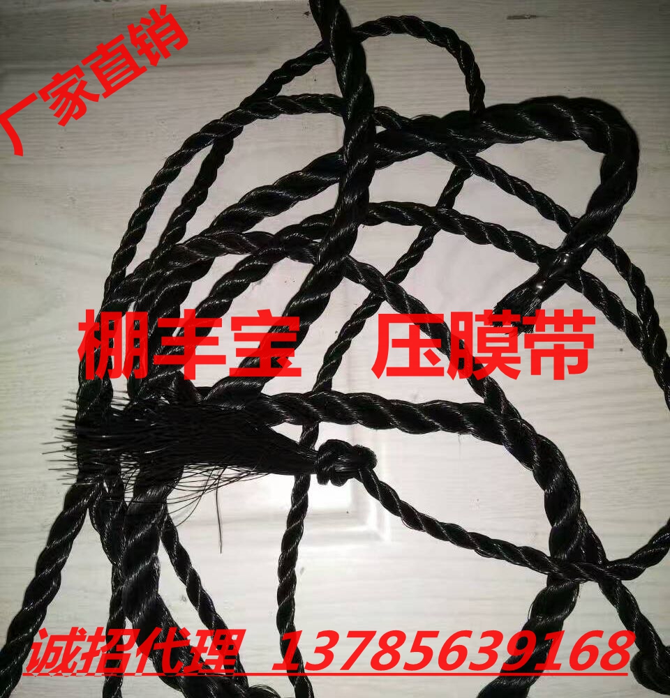 抗老化圖片/抗老化樣板圖 (2)