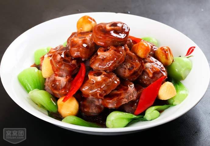 鴕鳥(niǎo)養(yǎng)殖基地圖片