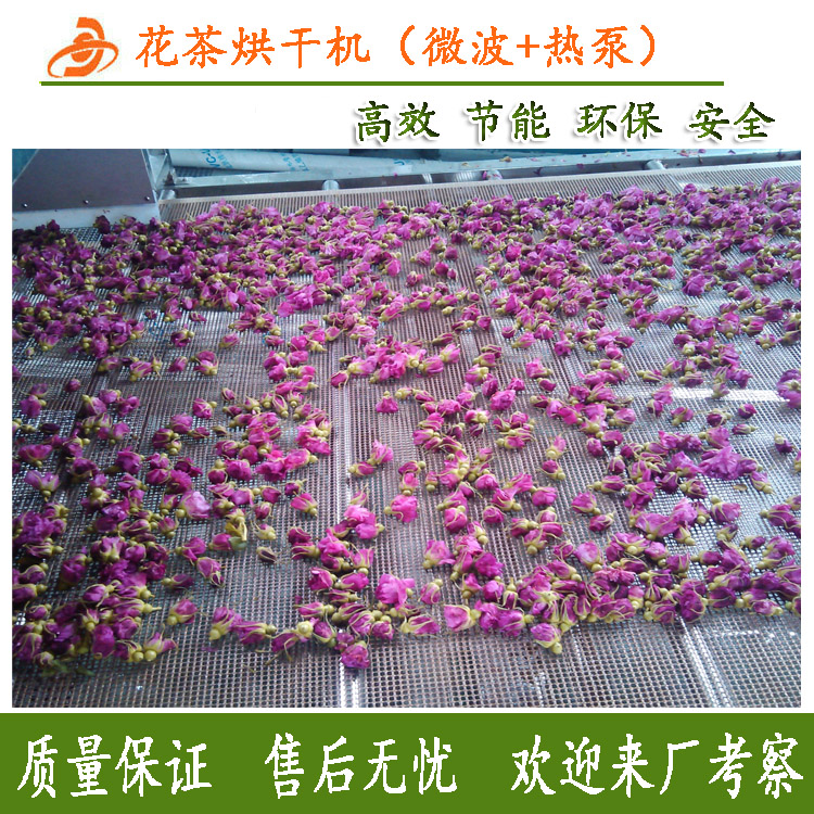 山東濟(jì)南玫瑰花烘干機(jī) 玫瑰花烘干細(xì)胞液提取生產(chǎn)線 玫瑰花烘干房